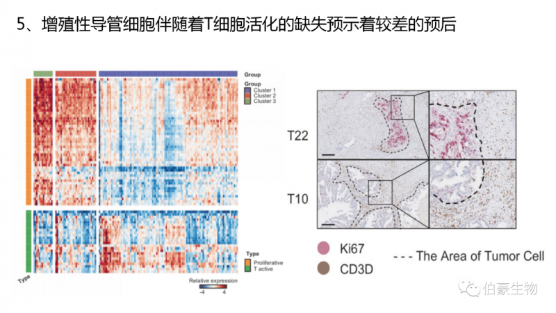 伯豪生物單細胞測序客戶發文 4