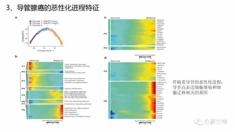 上海伯豪生物單細胞測序服務客戶文章