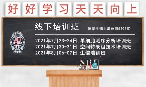 重磅！暑期系列培訓(xùn)班開課通知，6 月報(bào)名可享優(yōu)惠！