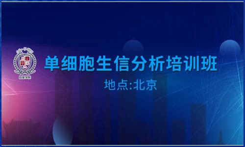 培訓(xùn)班報(bào)名 | 單細(xì)胞生信分析線下培訓(xùn)班火熱報(bào)名中！