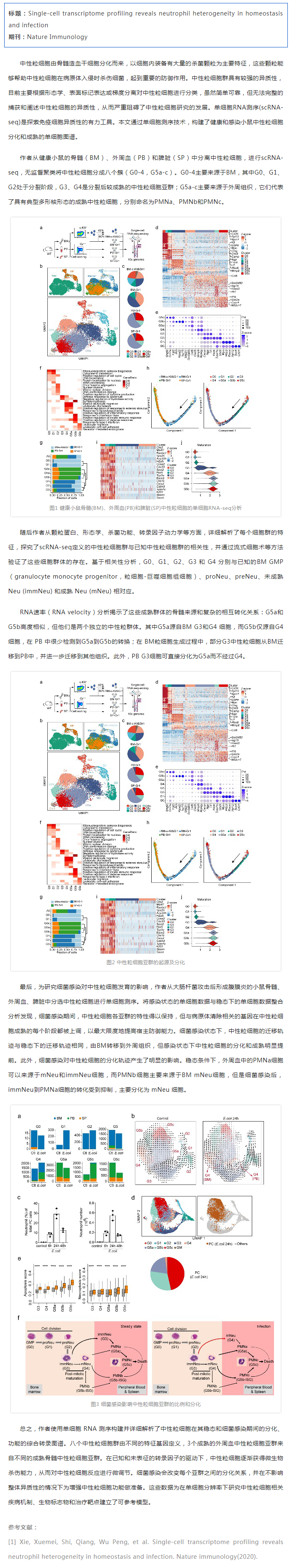 文獻(xiàn)解讀_單細(xì)胞 RNA 測序揭示健康和細(xì)菌感染小鼠中的中性粒細(xì)胞異質(zhì)性