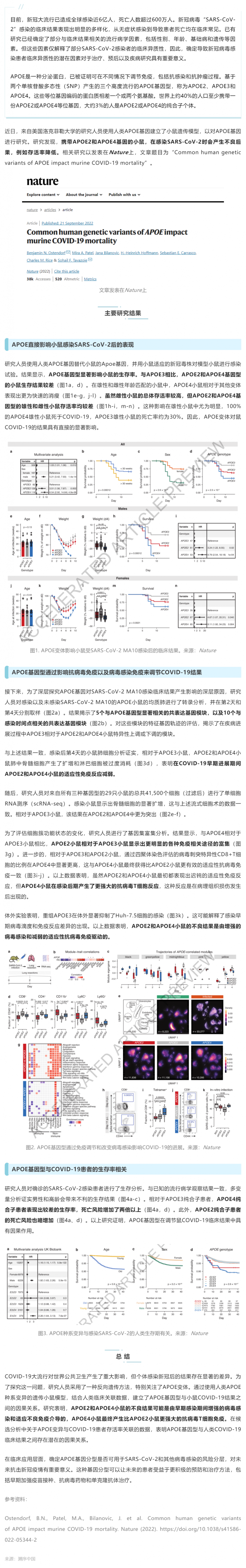 Nature _ 為什么有些人感染新冠后死亡風險高？研究揭示與 APOE 基因型有關