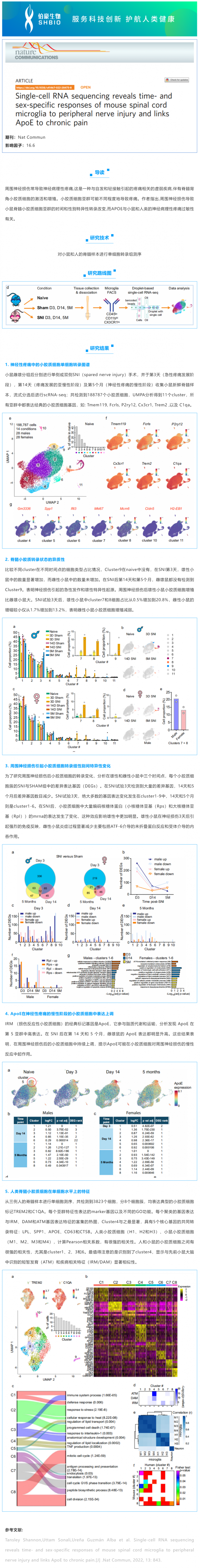 文獻解讀_單細胞 RNA 測序揭示了小鼠脊髓小膠質細胞對周圍神經損傷的時間和性別特異性反應，并將 ApoE