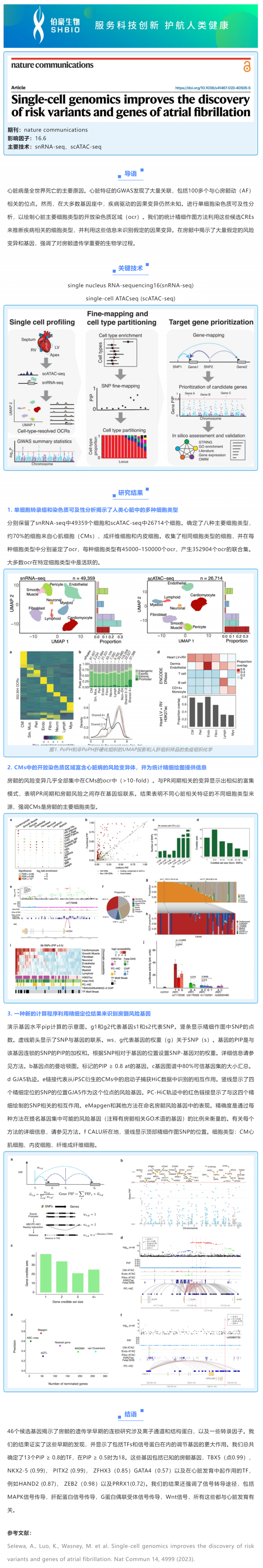 文獻解讀 _ 單細胞基因組學有助于發現房顫的風險變異和基因
