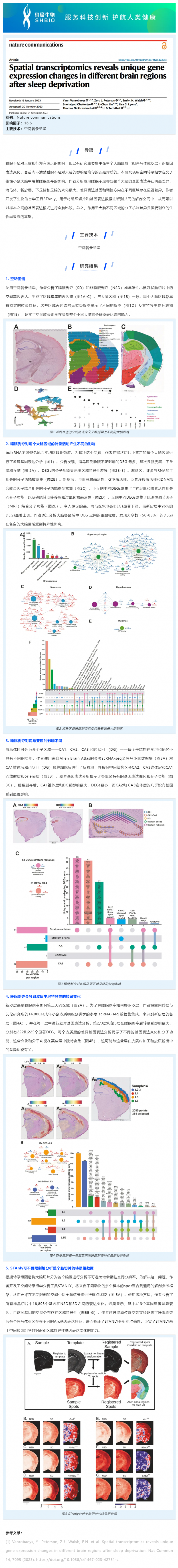 516 文獻解讀 _ 空間轉錄組學揭示睡眠剝奪后不同大腦區(qū)域的特異性基因表達變化