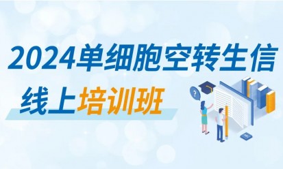 沖刺科研賽場 | 伯豪生物 2024 單細胞空轉生信培訓 8 月直播課開啟報名！