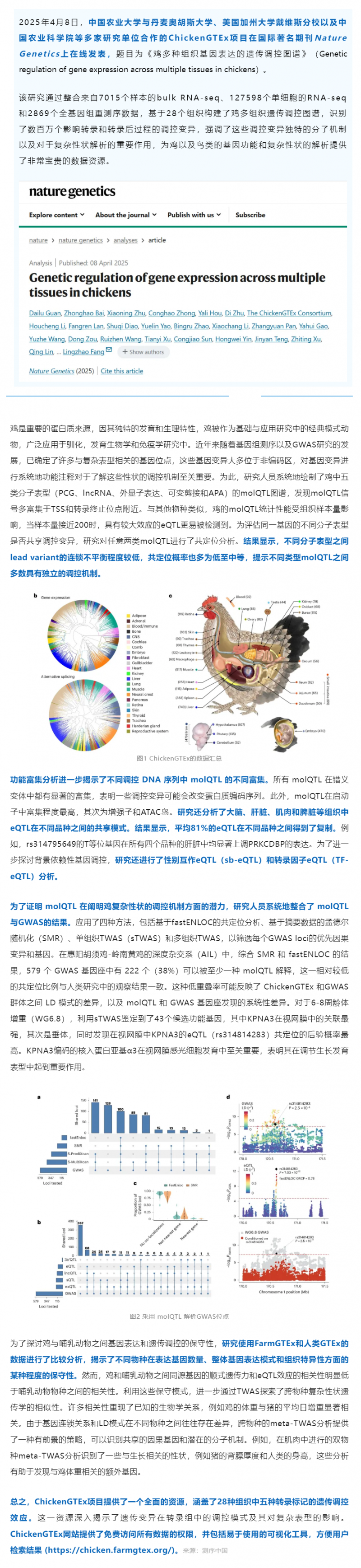 Nat Genet 丨中國農(nóng)業(yè)大學等多國團隊繪制雞多組織遺傳調(diào)控圖譜