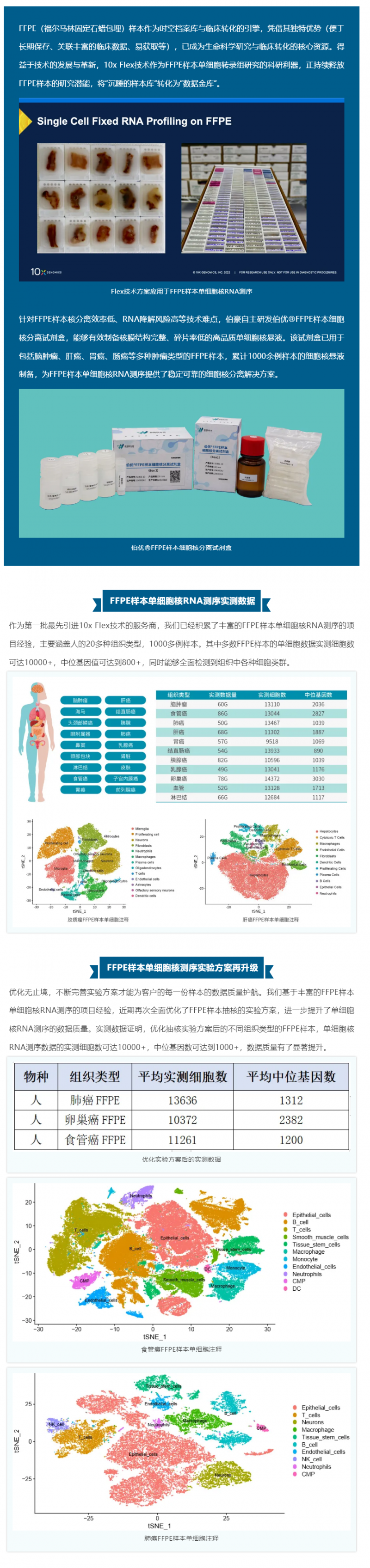 技術突破 _ FFPE 樣本產出高質量單細胞數據的秘籍